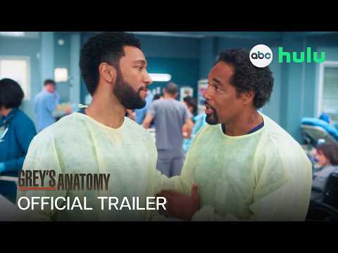 Is Grey's Anatomy still worth watching after 23 seasons?