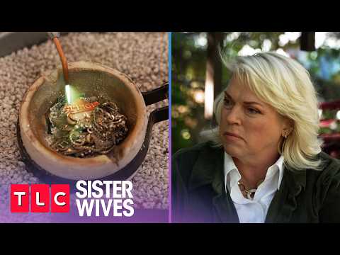 Should polygamy reality shows like Sister Wives keep airing as 'healing' content?